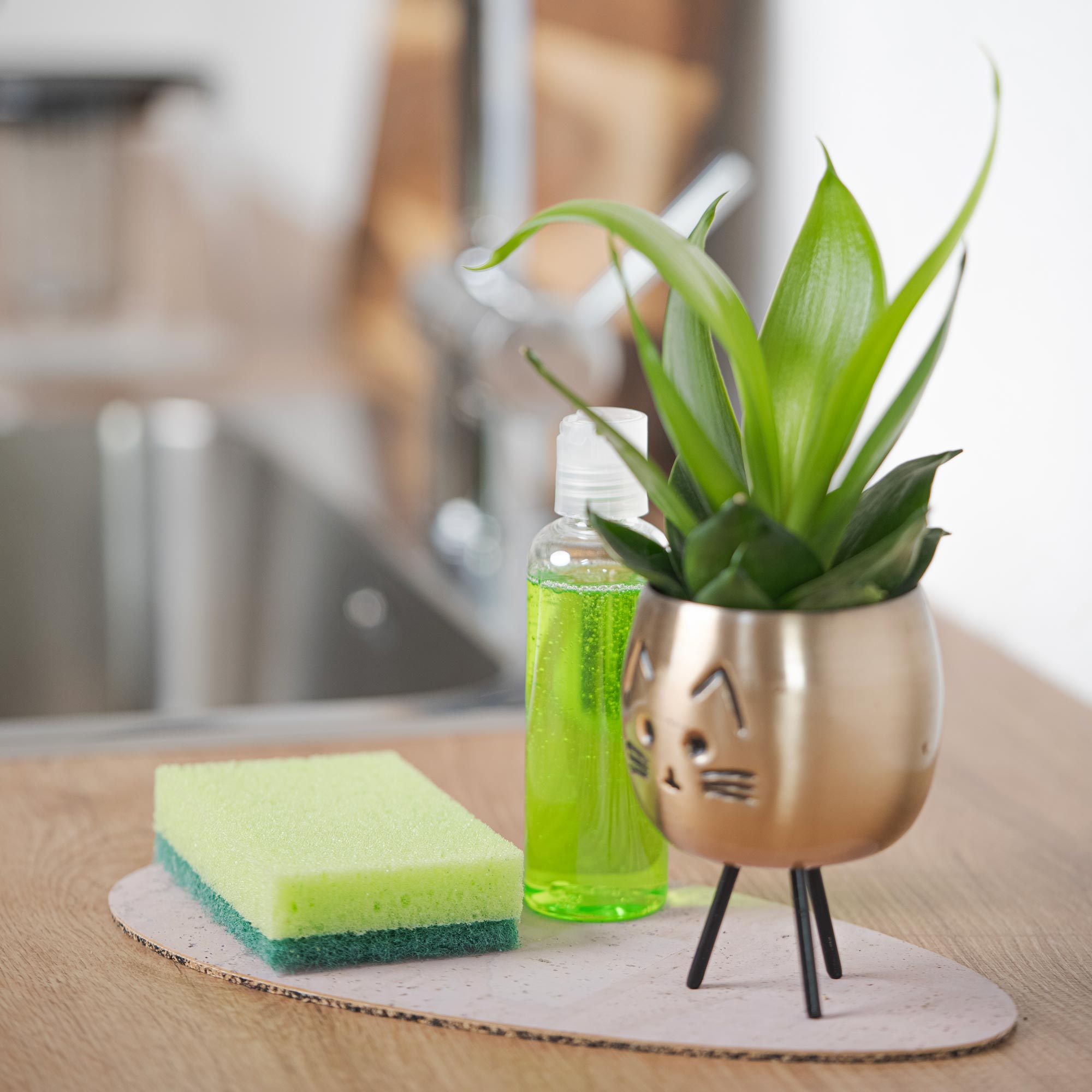 Kork Dessertuntersetzer